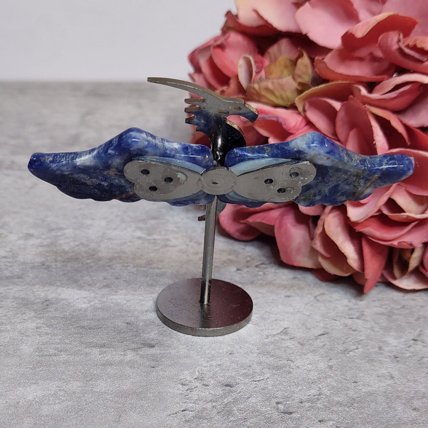 Mini lohikäärme siivet, sodaliitti