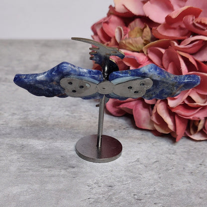 Mini lohikäärme siivet, sodaliitti