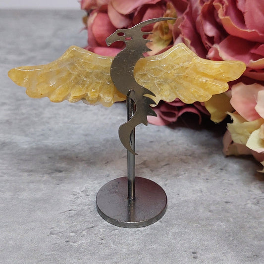 Mini lohikäärme siivet, golden healer