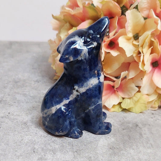 Susi, sodaliitti 7,8cm