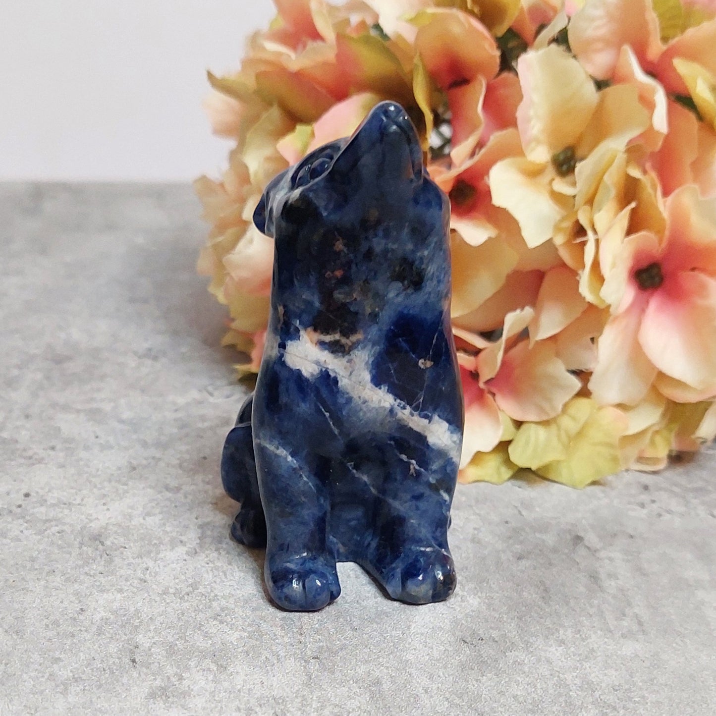 Susi, sodaliitti 7,8cm
