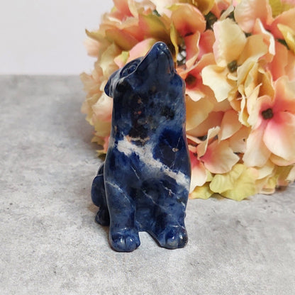 Susi, sodaliitti 7,8cm