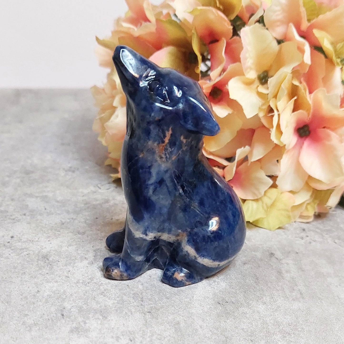 Susi, sodaliitti 7,8cm