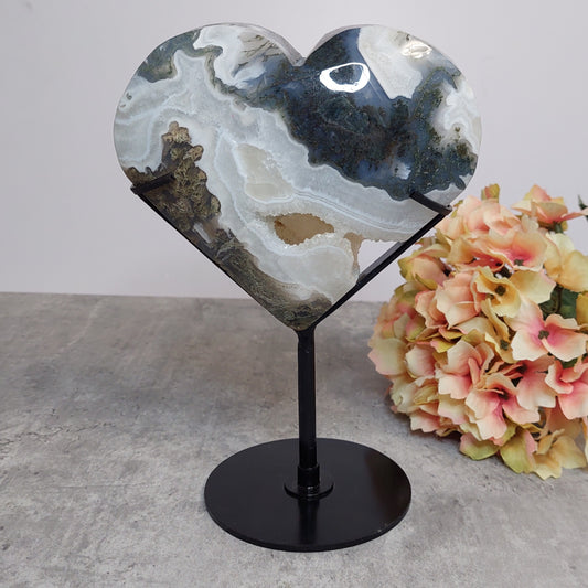 Druusinen sammalakaattisydän jalassa