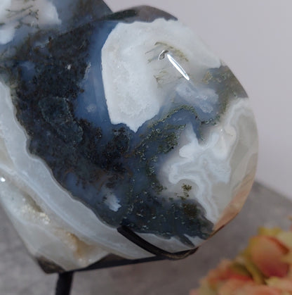 Druusinen sammalakaattisydän jalassa