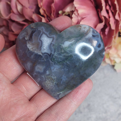 Sydän, sammalakaatti