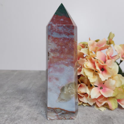 Torni, valtamerijaspis 16cm