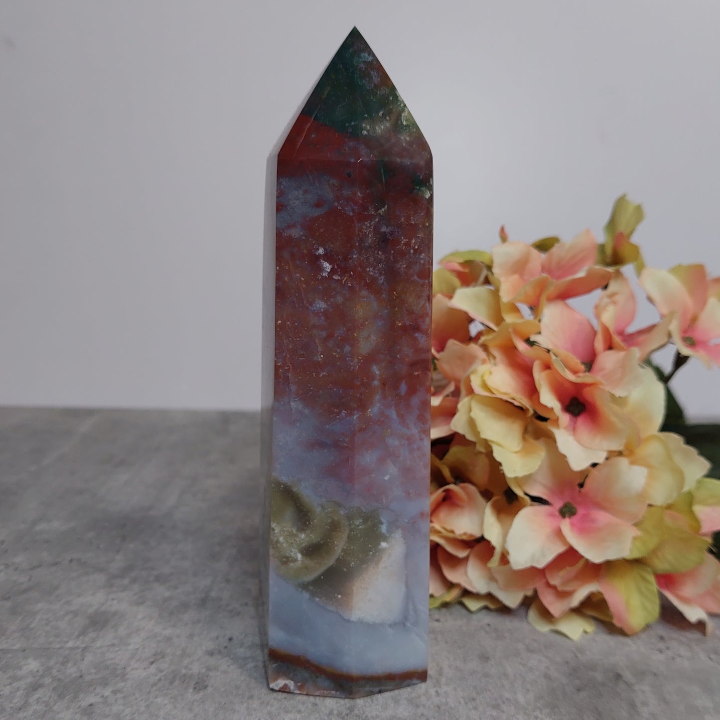 Torni, valtamerijaspis 16cm