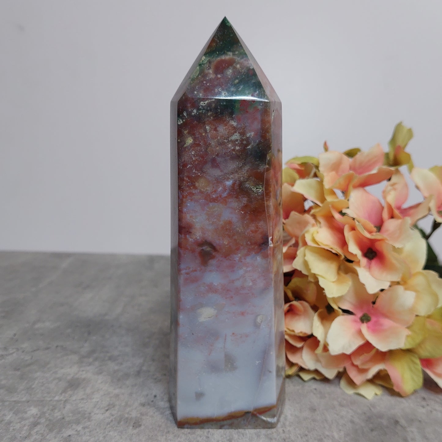 Torni, valtamerijaspis 16cm