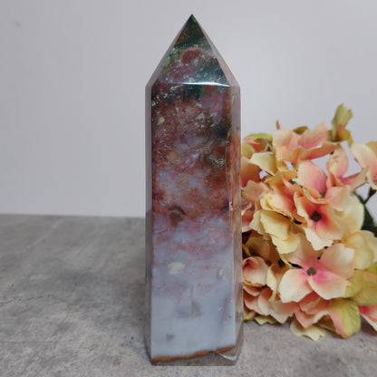 Torni, valtamerijaspis 16cm