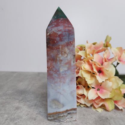 Torni, valtamerijaspis 16cm