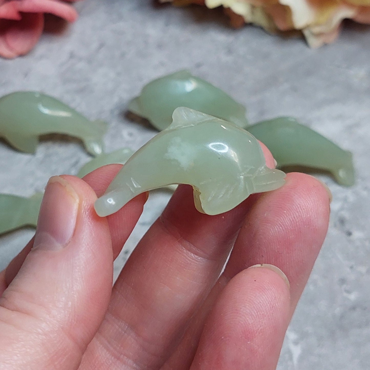 Mini delfiini, jade