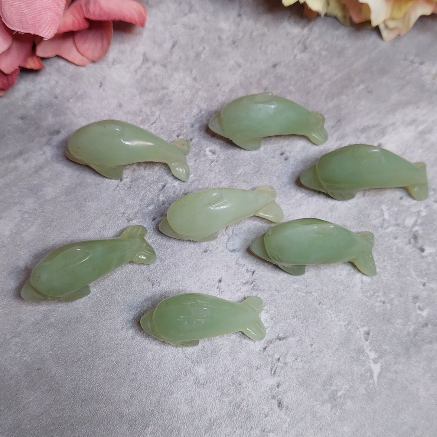 Mini delfiini, jade