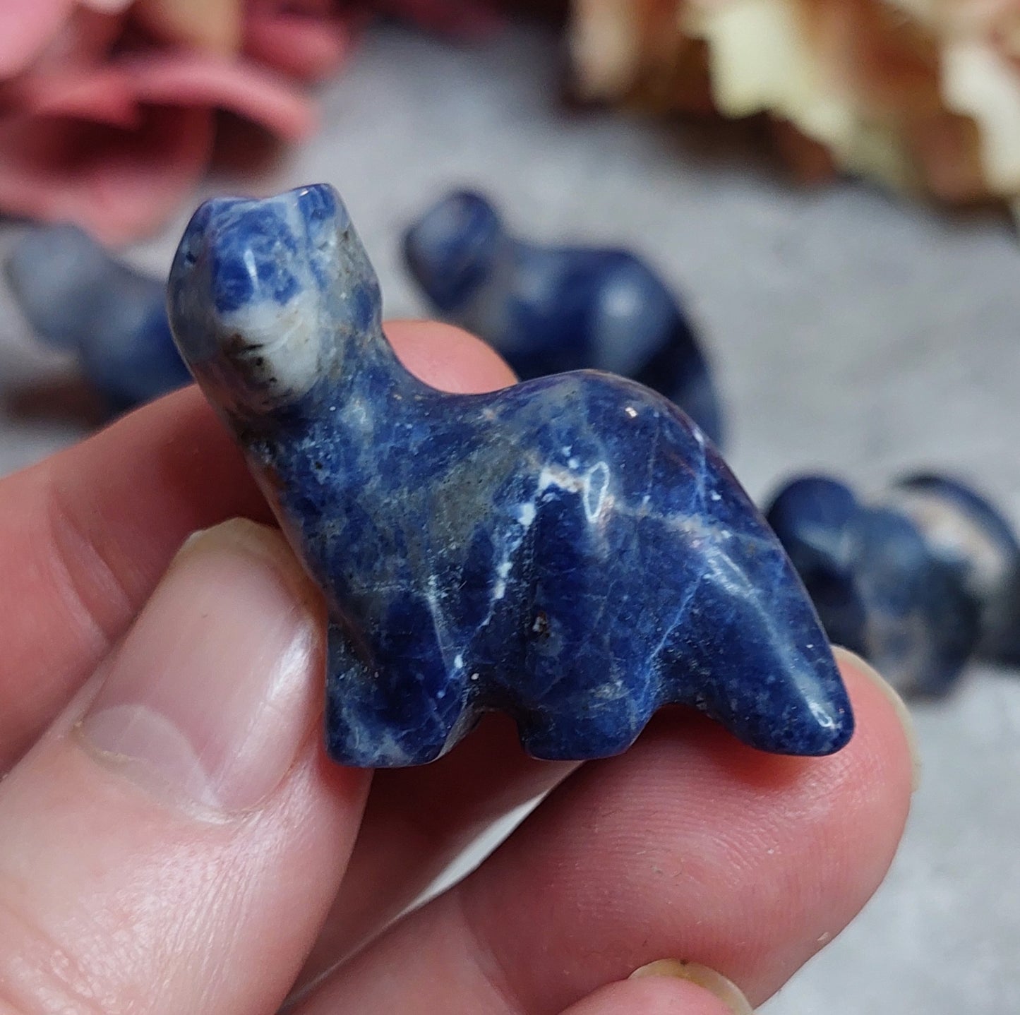Mini dino, sodaliitti