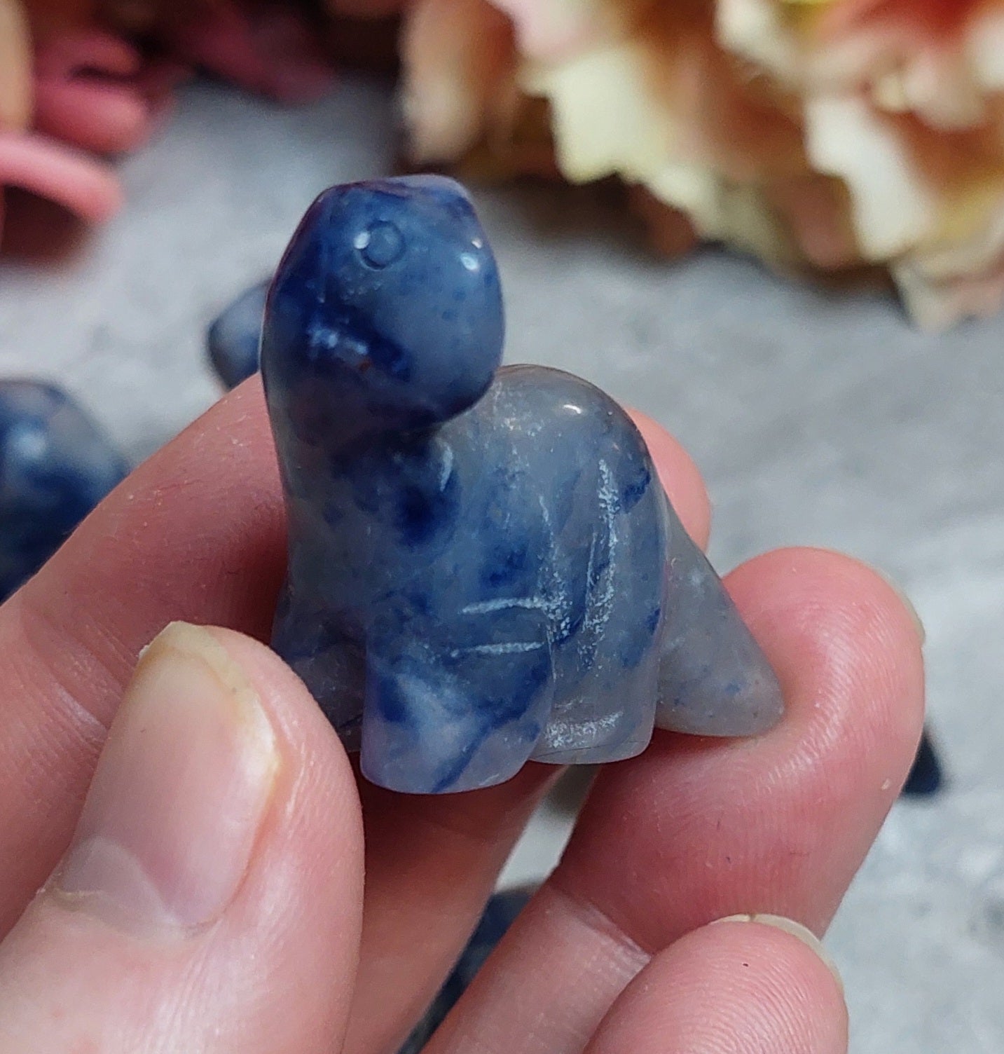 Mini dino, sodaliitti