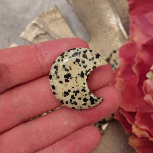 Minikuu dalmatianjaspis (C3.5)